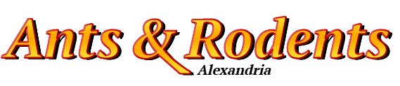 Alexandria Ant Exterminator & Rodent Control Company Logo